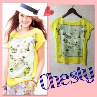 チェスティ(Chesty)のChesty★エレガントプリントトップス(Tシャツ(半袖/袖なし))