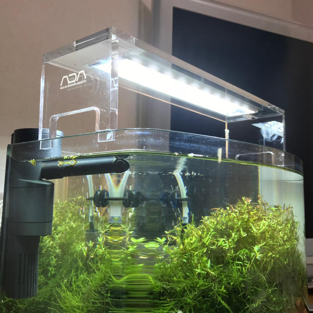 西日本産 セール ADA アクアスカイ 602 AQUASKY 水草育成用LED照明