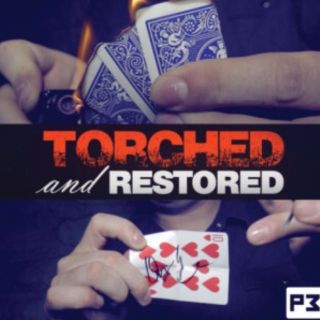 破いて燃やしたサインカードの完全な復活‼️Torched‼️手品(トランプ/UNO)