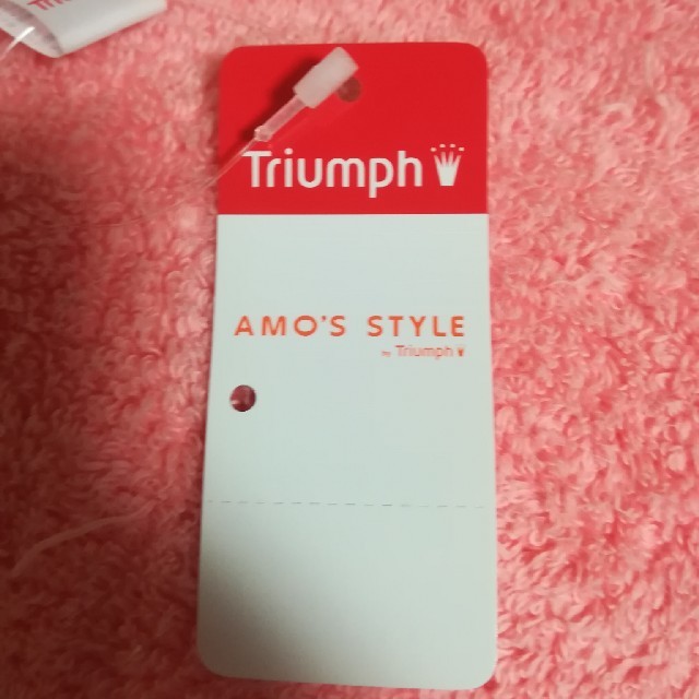 Triumph(トリンプ)のトリンプ　ショーツ　Mサイズ　♪送料無料♪ レディースの下着/アンダーウェア(ショーツ)の商品写真