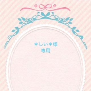 ＊しぃ＊ 様 専用(その他)