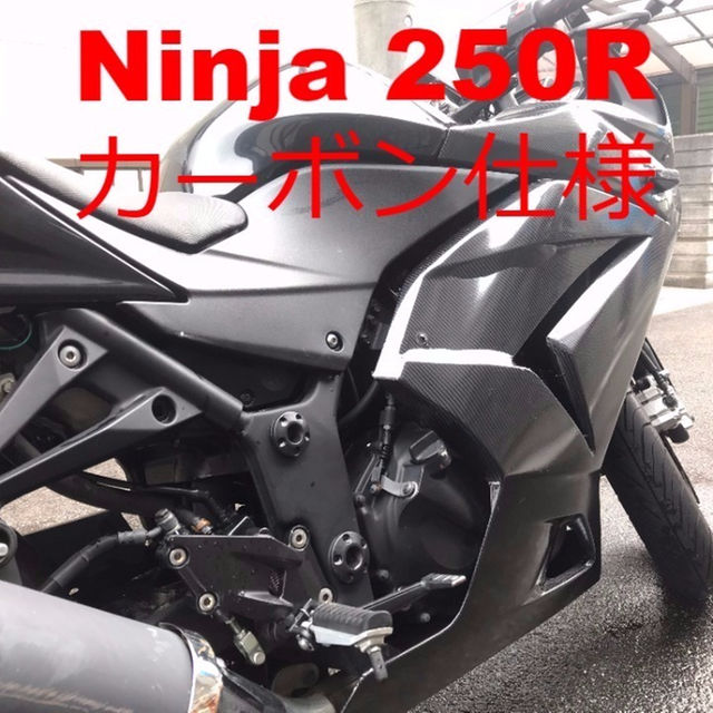 れお Ninja 250R カーボン仕様