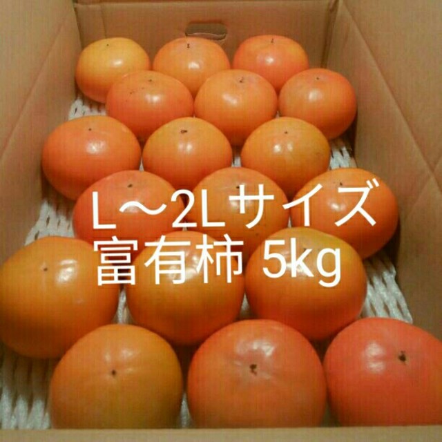 福岡県産 ブランド富有柿 5kg 食品/飲料/酒の食品(フルーツ)の商品写真