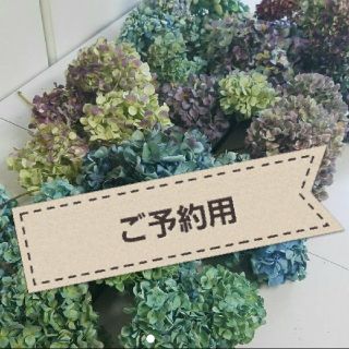 Yuu hana様ご専用♡秋色紫陽花ドライフラワー(ドライフラワー)