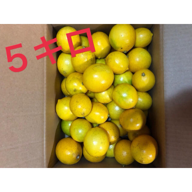 レモン マイヤーレモン お得な約5キロ 食品/飲料/酒の食品(フルーツ)の商品写真