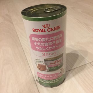 ロイヤルカナン(ROYAL CANIN)のロイヤルカナン スタータームース(ペットフード)