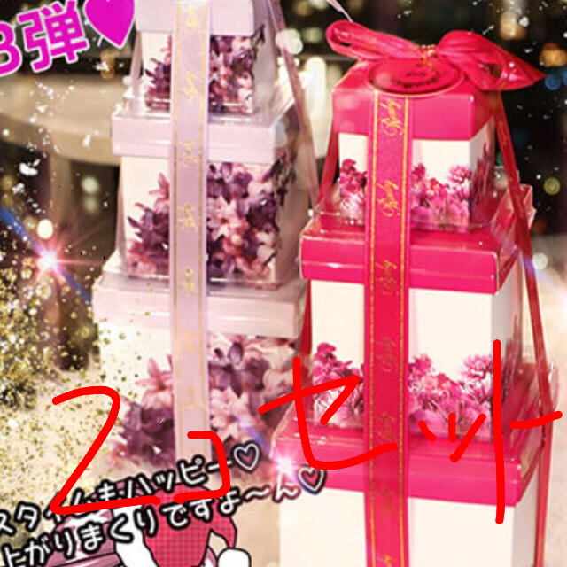 Rady ノベルティ 2個セット Rady ノベルティ 2個セット