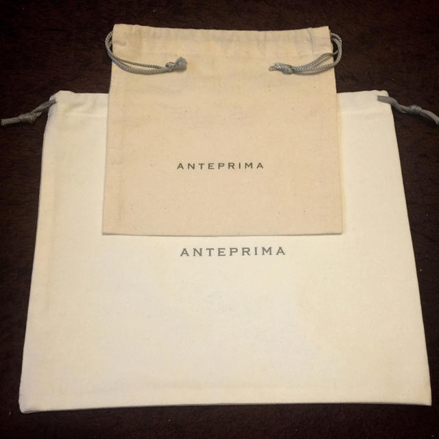 ANTEPRIMA(アンテプリマ)のアンテプリマ 保存袋 大小2枚セット レディースのバッグ(ショップ袋)の商品写真