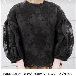 ページボーイ(PAGEBOY)のページボーイ オーガンジー 刺繍 バルーンスリーブ ブラウス(シャツ/ブラウス(長袖/七分))