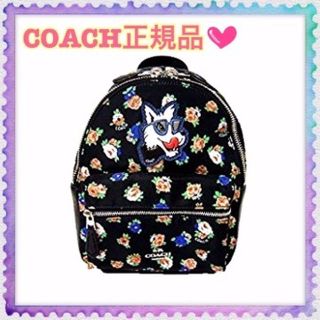 コーチ(COACH)の未使用 コーチ COACH 鞄 ミニ バック 黒 F57636 正規品(リュック/バックパック)