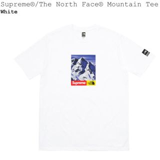 シュプリーム(Supreme)のSupreme The North Face tシャツ M(Tシャツ/カットソー(半袖/袖なし))