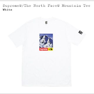 シュプリーム(Supreme)のSupreme×NorthFace tee mサイズ(Tシャツ/カットソー(半袖/袖なし))