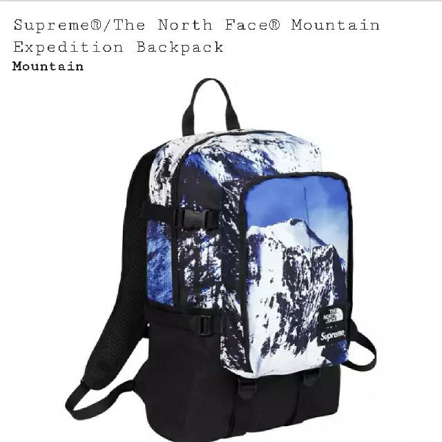 Supreme(シュプリーム)のSupreme The north face backpack バックパック メンズのバッグ(バッグパック/リュック)の商品写真