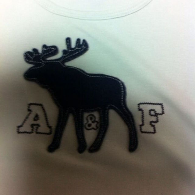 Abercrombie&Fitch(アバクロンビーアンドフィッチ)の☆お値下げ☆アバクロTシャツ レディースのトップス(その他)の商品写真