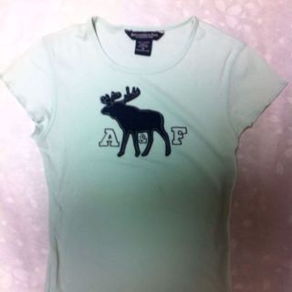 アバクロンビーアンドフィッチ(Abercrombie&Fitch)の☆お値下げ☆アバクロTシャツ(その他)