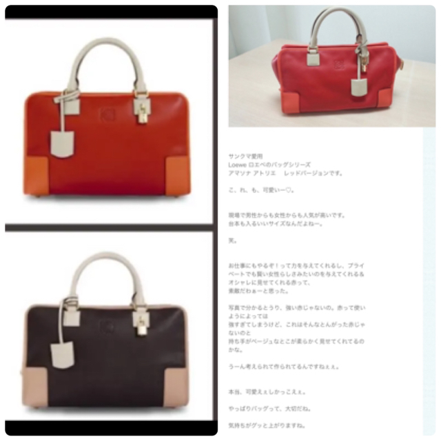 LOEWE(ロエベ)の【ご専用です】 レディースのバッグ(ハンドバッグ)の商品写真