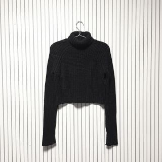 アレキサンダーワン ニット/セーター(レディース)(タートルネック)の