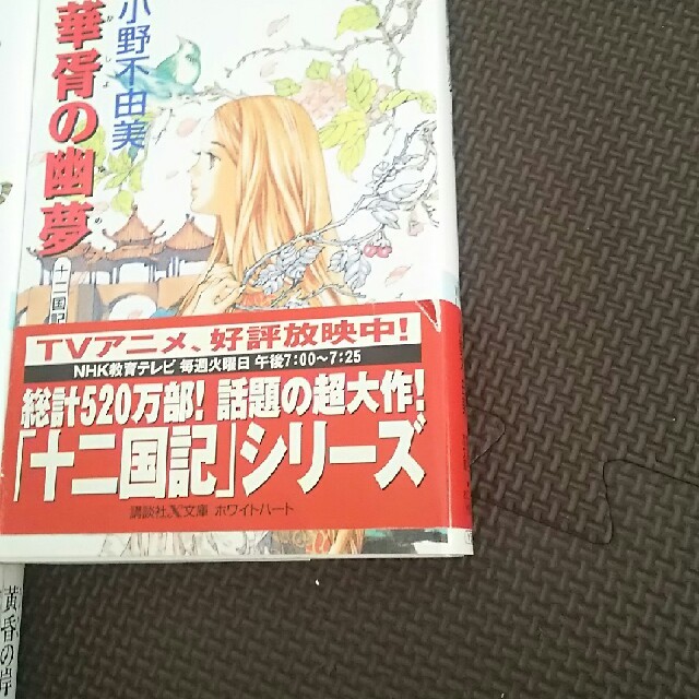 十二国記シリーズ 11冊 ホワイトハート 小野不由美 エンタメ/ホビーの本(文学/小説)の商品写真