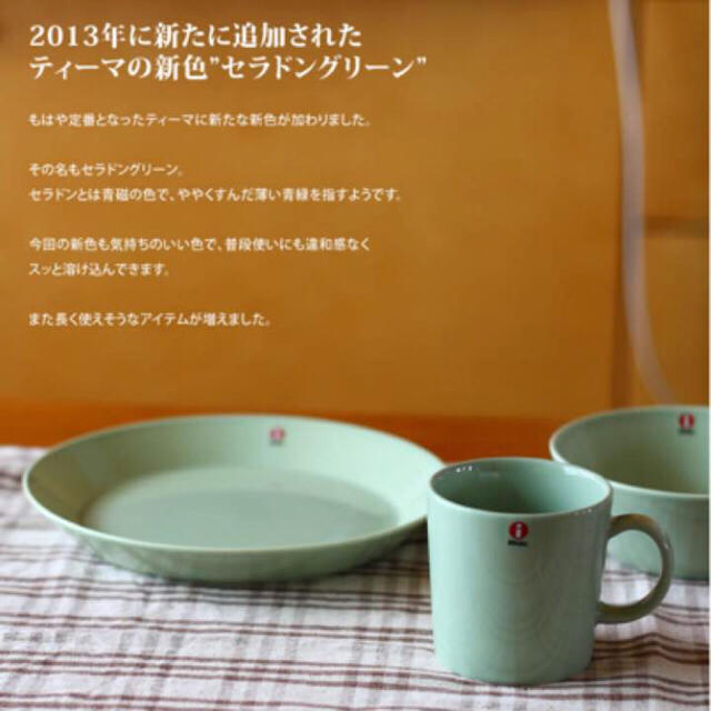 iittala(イッタラ)のイッタラ iittala ティーマ TEEMA プレートボウル セラドングリーン インテリア/住まい/日用品のキッチン/食器(食器)の商品写真