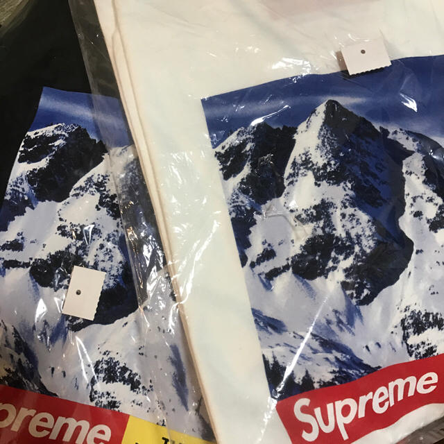 Supreme(シュプリーム)のSupreme tee ×2 メンズのトップス(Tシャツ/カットソー(半袖/袖なし))の商品写真