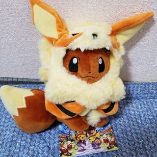 ポケモン(ポケモン)のポケモンセンタ　沖縄限定　ウィンディのポッチを着たイブーイ(ぬいぐるみ/人形)