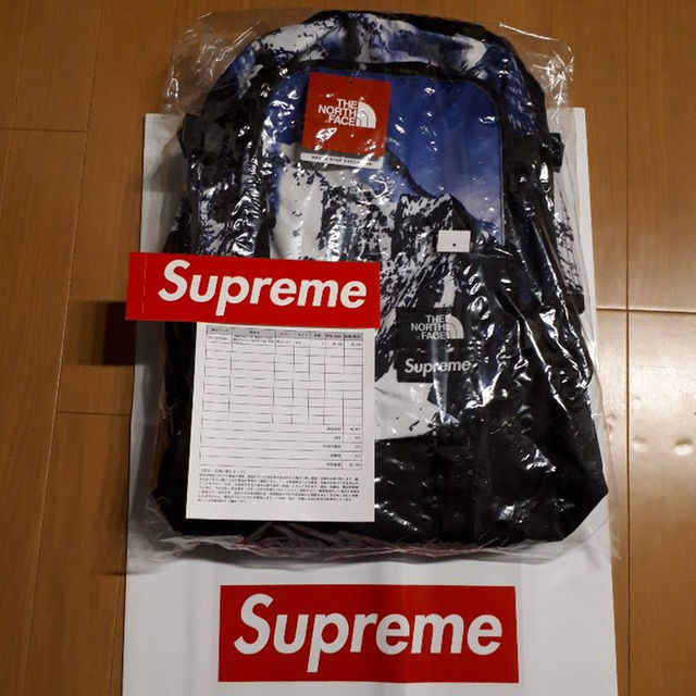 Supreme north face mountain backpack