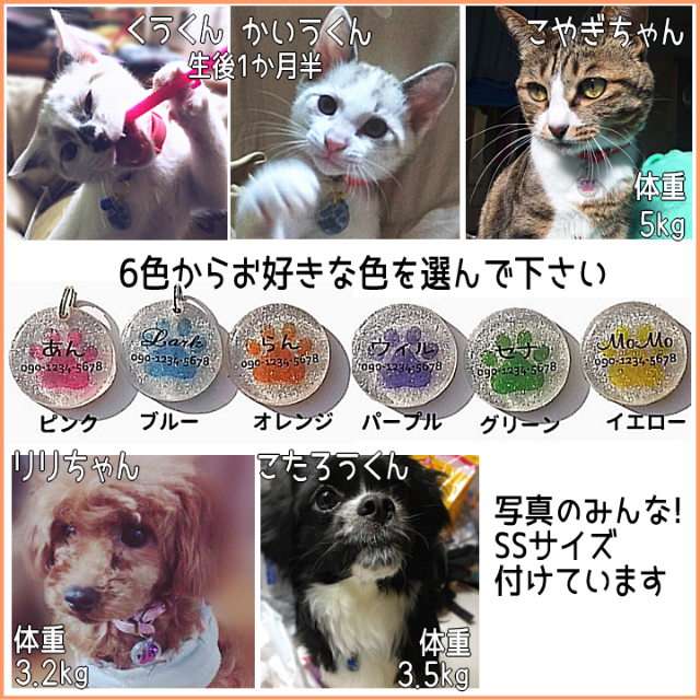 通販&犬好きfamily様オーダーページ◇迷子札 ハンドメイドのペット(ペット服/アクセサリー)の商品写真