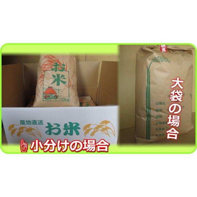  新米２９年ミルキークイーンもちっとした食感が人気のお米白米27ｋｇ 食品/飲料/酒の食品(米/穀物)の商品写真