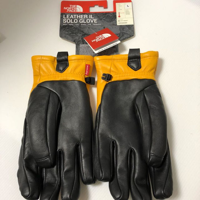 Supreme(シュプリーム)のL the north face Supreme Leather Glove メンズのファッション小物(その他)の商品写真