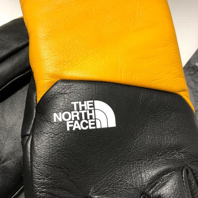 Supreme(シュプリーム)のL the north face Supreme Leather Glove メンズのファッション小物(その他)の商品写真