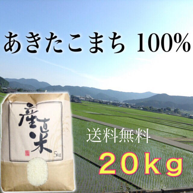 【リピーター様限定販売】愛媛県産あきたこまち100％   ２０ｋｇ   農家直送 食品/飲料/酒の食品(米/穀物)の商品写真