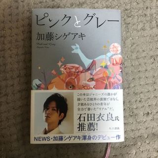 ピンクとグレー(文学/小説)