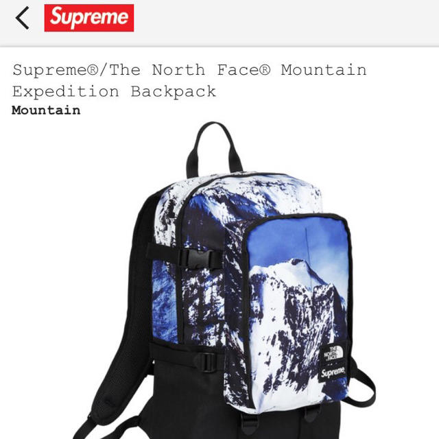 supreme the north face backpack 17aw