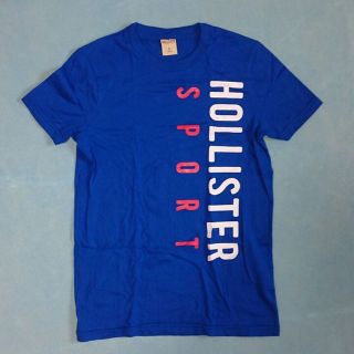 ホリスター(Hollister)のホリスター Ｔシャツ Ｓサイズ(その他)