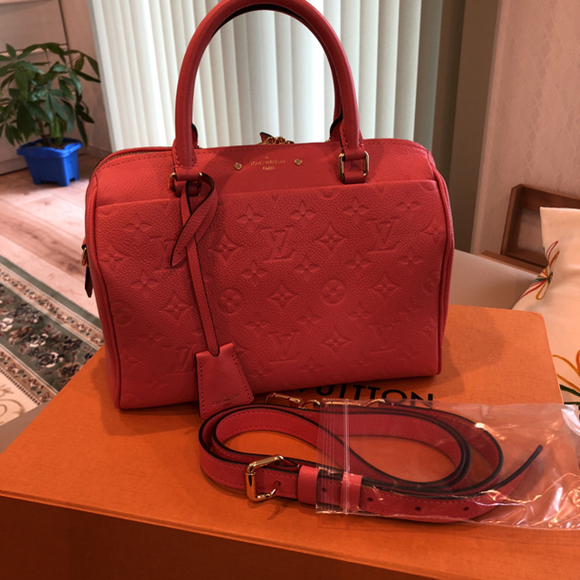 訳ありセール 格安) LOUIS VUITTON - ルイヴィトンアンプラント
