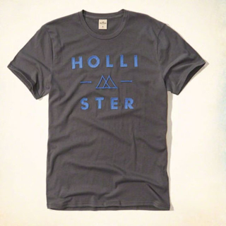 ホリスター(Hollister)の【正規品】ホリスター HOLLISTER アップリケロゴTシャツ グレー S(Tシャツ/カットソー(半袖/袖なし))