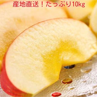 【期間限定セール】山形県産サンふじ☆訳ありリンゴ☆10kg 送料無料(フルーツ)