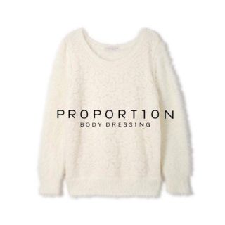 プロポーションボディドレッシング(PROPORTION BODY DRESSING)のPROPORTION BODY DRESSING レースシャギーニット(ニット/セーター)