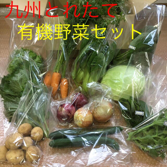 九州とれたて無農薬野菜セット 食品/飲料/酒の食品(野菜)の商品写真