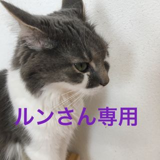 ルイヴィトン(LOUIS VUITTON)のルイヴィトンサイフ(財布)