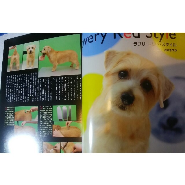 グルーミングジャーナル その他のペット用品(犬)の商品写真