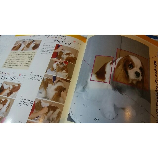 グルーミングジャーナル その他のペット用品(犬)の商品写真