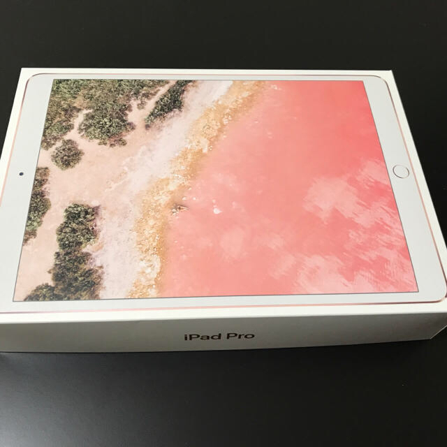 Apple(アップル)のiPad Pro 箱 スマホ/家電/カメラのPC/タブレット(その他)の商品写真