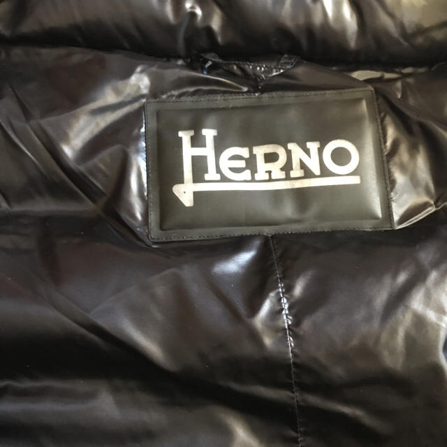 HERNO(ヘルノ)のHERNO☆袖フレアAラインダウンコート 値下げ！ レディースのジャケット/アウター(ダウンコート)の商品写真