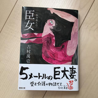 臣女 (文学/小説)