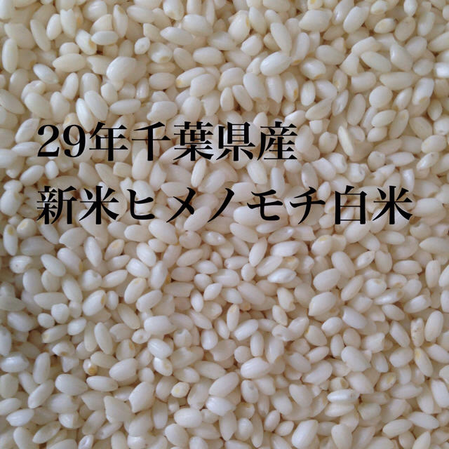 アポロ様専用新米もち米白米3.6㎏コシヒカリ白米13.5㎏ 食品/飲料/酒の食品(米/穀物)の商品写真