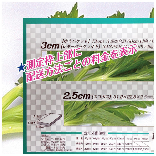 厚さ 測定定規 DA MON DE 02 ホワイト３種枠 出品者必携 送料無料 ハンドメイドの文具/ステーショナリー(その他)の商品写真