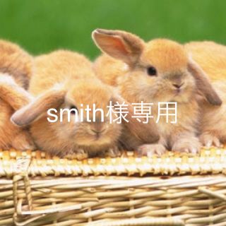 ソニー(SONY)のsmith様専用(ポータブルプレーヤー)