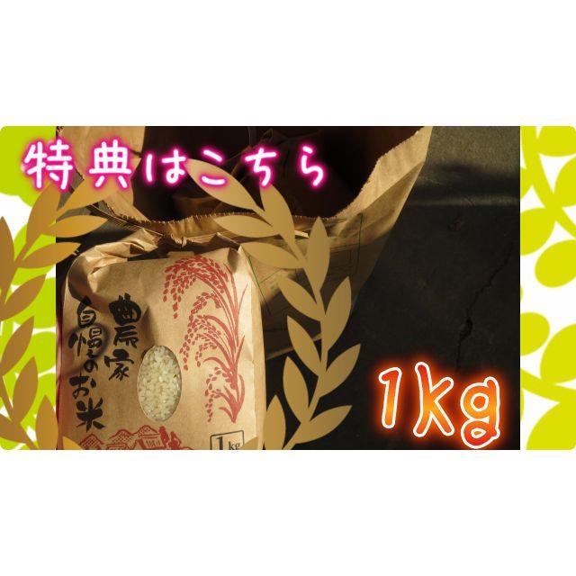 新米29年姫ごのみ、ミルキークイーンのような食感！精米27ｋｇの出品。精米無料 食品/飲料/酒の食品(米/穀物)の商品写真