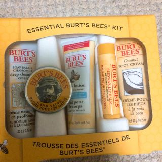 バーツビーズ(BURT'S BEES)のBURT'S BEES キット(リップケア/リップクリーム)